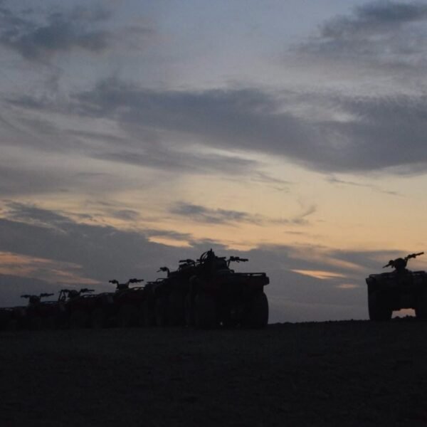 safari sunset el gouna