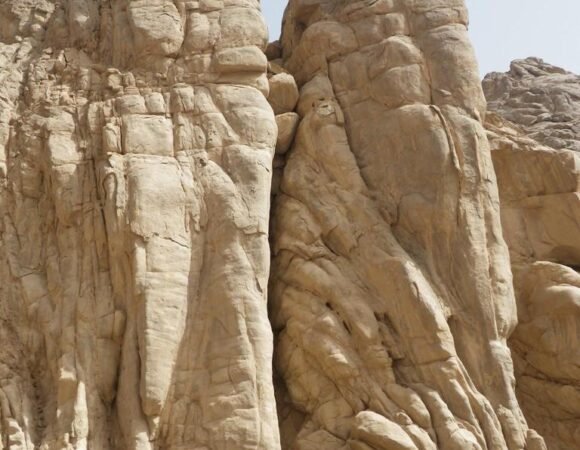 Nature Jeep Safari –Om Dalfa